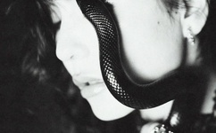 快 猫记录生活记录你下载